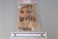 陶片藏品圖，第1張