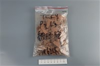 陶片藏品圖，第1張