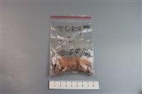 陶片藏品圖，第1張