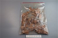 陶片藏品圖，第1張