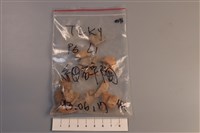 陶片藏品圖，第1張