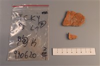 陶片藏品圖，第2張