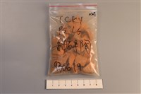 陶片藏品圖，第1張