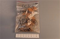陶片藏品圖，第1張