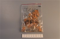 陶片藏品圖，第1張