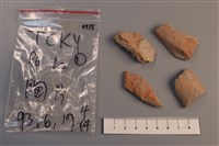 陶片藏品圖，第1張