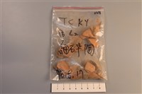 陶片藏品圖，第1張