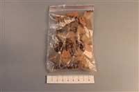 陶片藏品圖，第1張