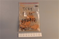 陶片藏品圖，第1張