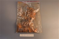 陶片藏品圖，第1張