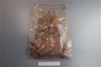 陶片藏品圖，第1張