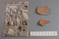 陶片藏品圖，第2張