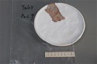 連杯形器藏品圖，第3張