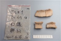 陶片藏品圖，第3張