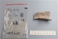 陶片藏品圖，第3張