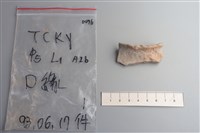 陶片藏品圖，第3張