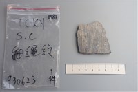 陶片藏品圖，第1張