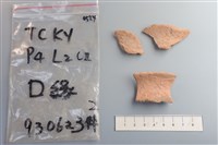 陶片藏品圖，第1張