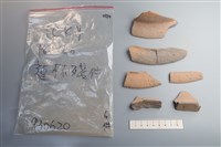 陶片藏品圖，第3張