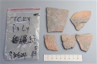 陶片藏品圖，第1張