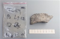 陶片藏品圖，第1張