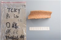 陶片藏品圖，第4張