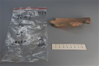 陶片藏品圖，第3張