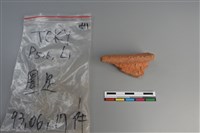 陶片藏品圖，第1張