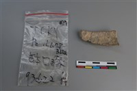 陶片藏品圖，第2張