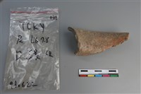 陶片藏品圖，第3張