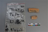 陶片藏品圖，第2張