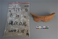 陶片藏品圖，第1張