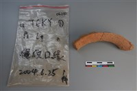 陶片藏品圖，第2張