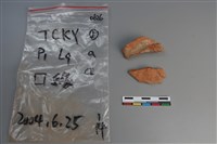 陶片藏品圖，第1張