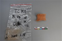 陶片藏品圖，第1張