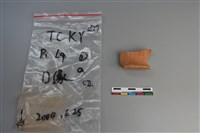 陶片藏品圖，第2張