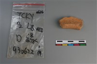 陶片藏品圖，第3張