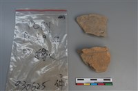 陶片藏品圖，第2張