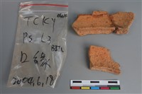 陶片藏品圖，第2張