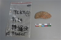 陶片藏品圖，第1張