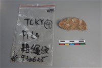 陶片藏品圖，第2張