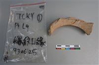 陶片藏品圖，第5張