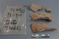 陶片藏品圖，第1張