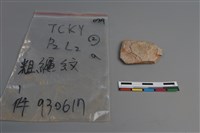 陶片藏品圖，第1張