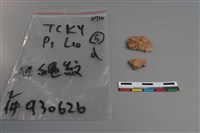 陶片藏品圖，第1張