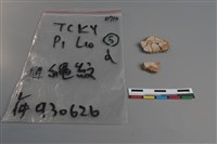 陶片藏品圖，第2張