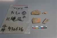 陶片藏品圖，第1張