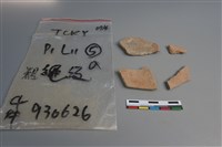 陶片藏品圖，第2張