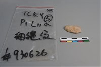 陶片藏品圖，第1張