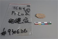 陶片藏品圖，第2張